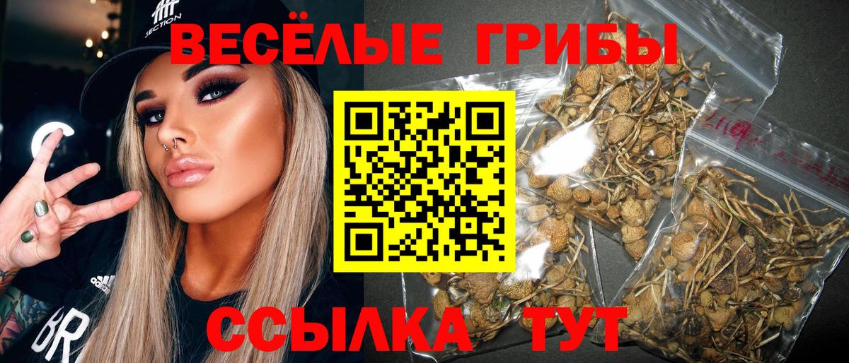 где найти наркотики  Галлюциногенные грибы Cubensis  Псилоцибиновые грибы Psilocybine cubensis  Вход с VPN  Белебей 