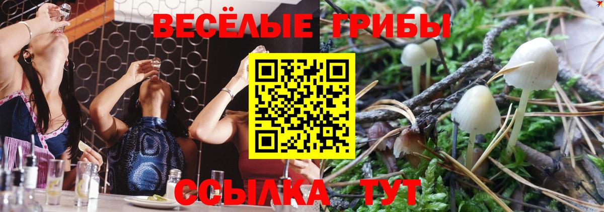 Псилоцибиновые грибы Psilocybine cubensis Белебей